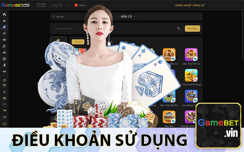 Điều khoản sử dụng