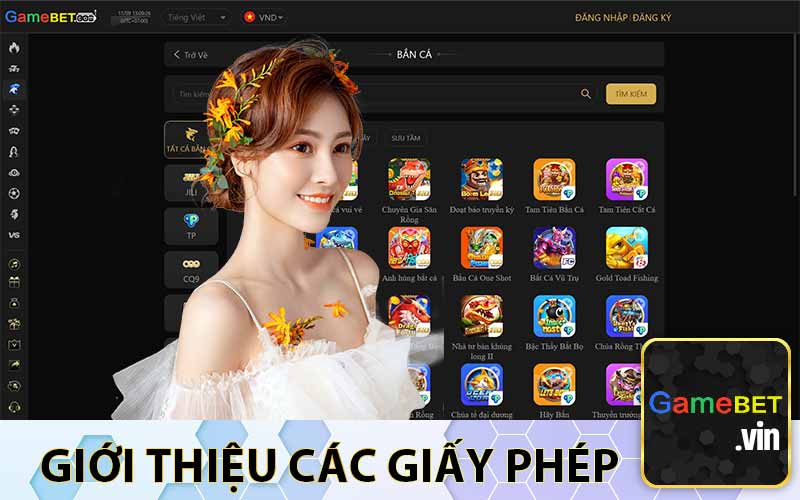 Giới thiệu Các Giấy Phép