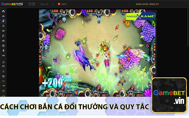 Cách chơi bắn cá đổi thưởng và quy tắc