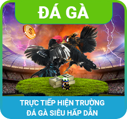 daga